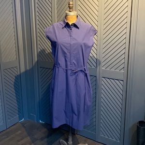 ✨Pricedrop✨ EUC COS button down cap sleeve shirt dress